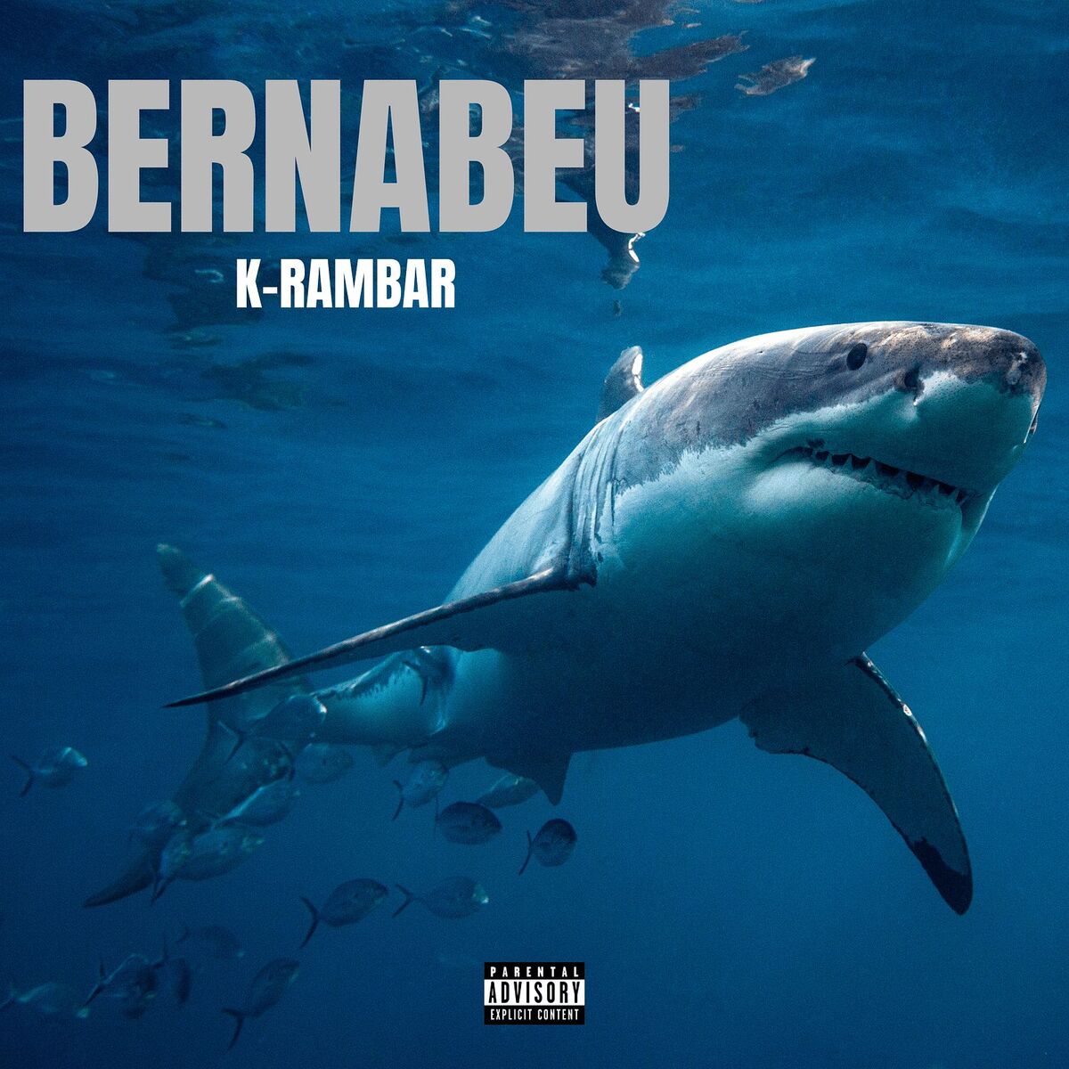 Album cover of Bernabeu