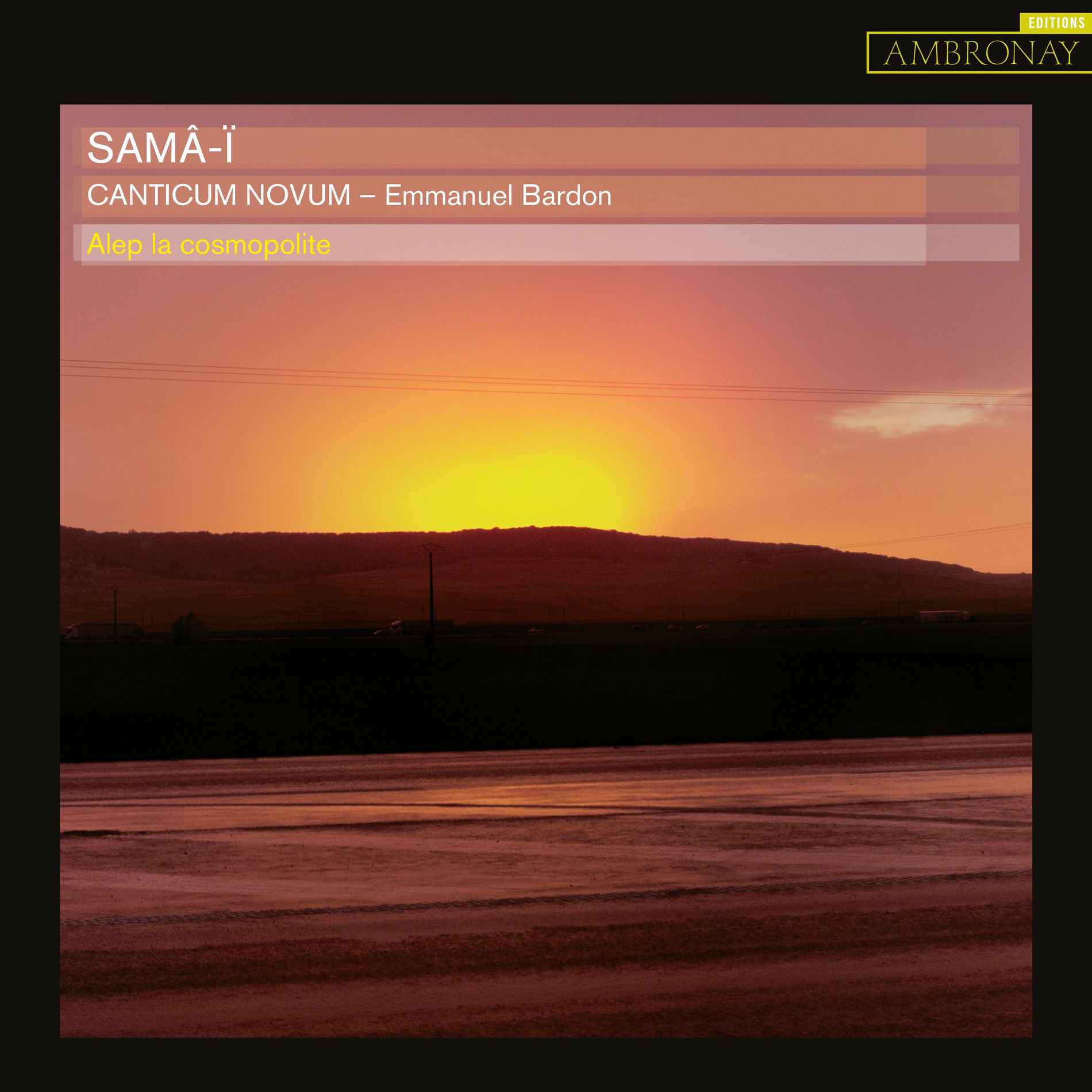 Album cover of Salındı bahçeye girdi