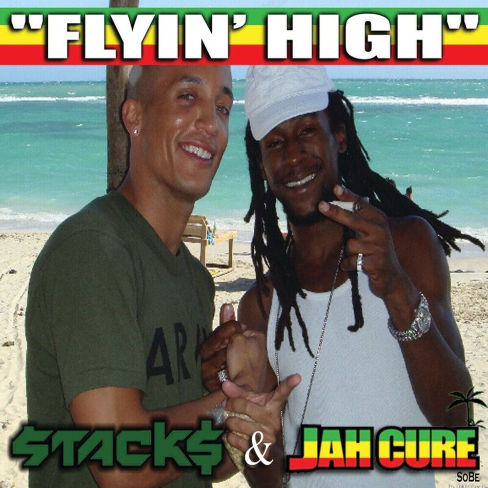 Picture of Flyin' High