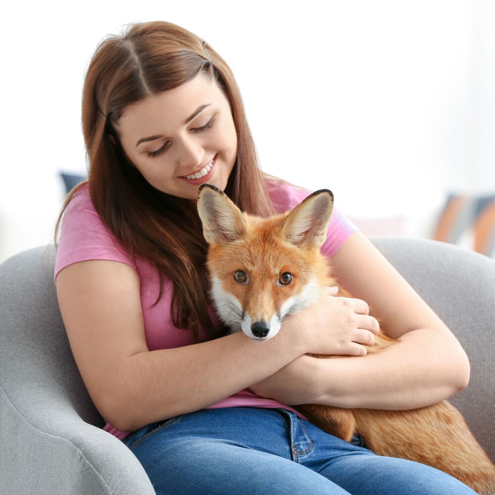 Picture of Lunar Furriends: Serene Lofi Nighttime Pet Companionship