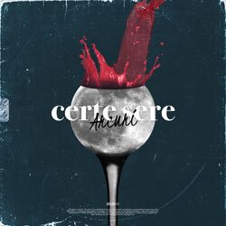 Cover of Certe Sere