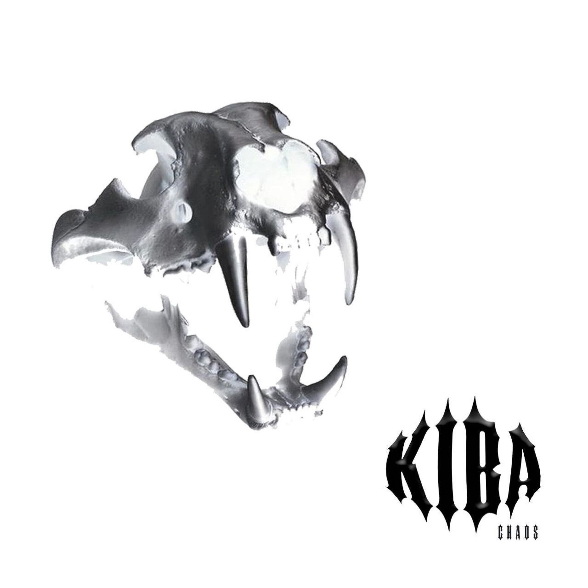 Album cover of Chaos