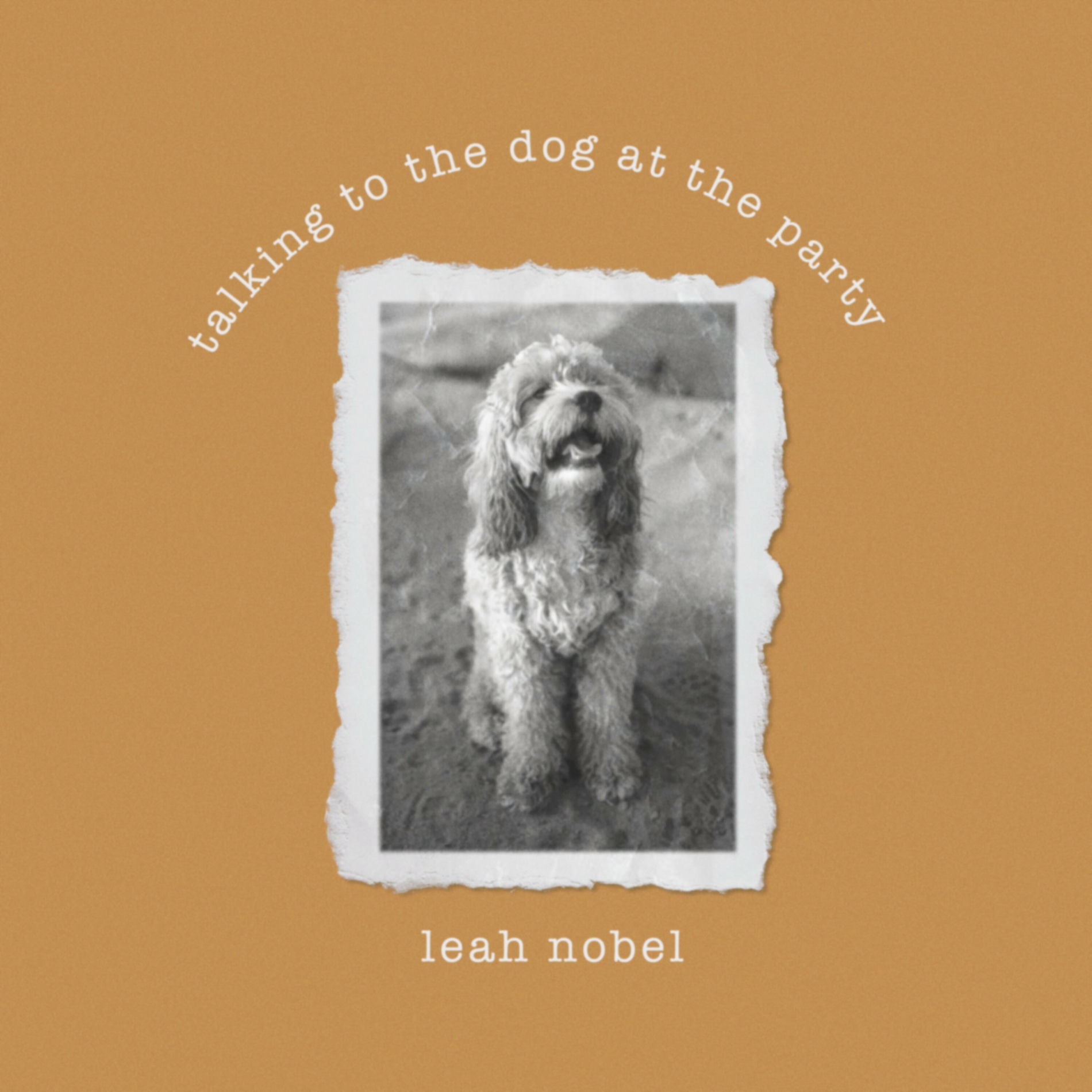 Album cover of Talking to the Dog at the Party