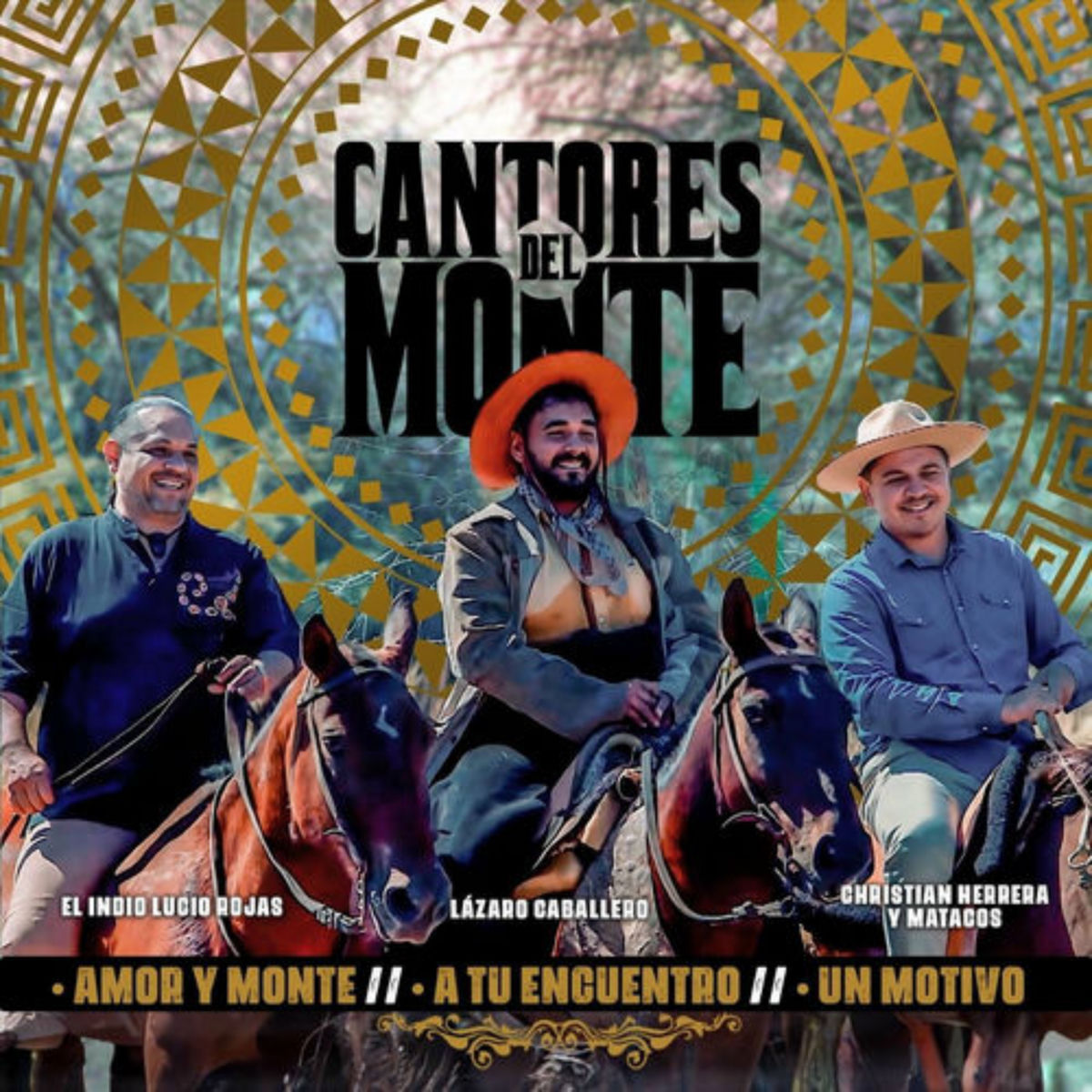 Album cover of Amor y Monte / A tu Encuentro / Un Motivo