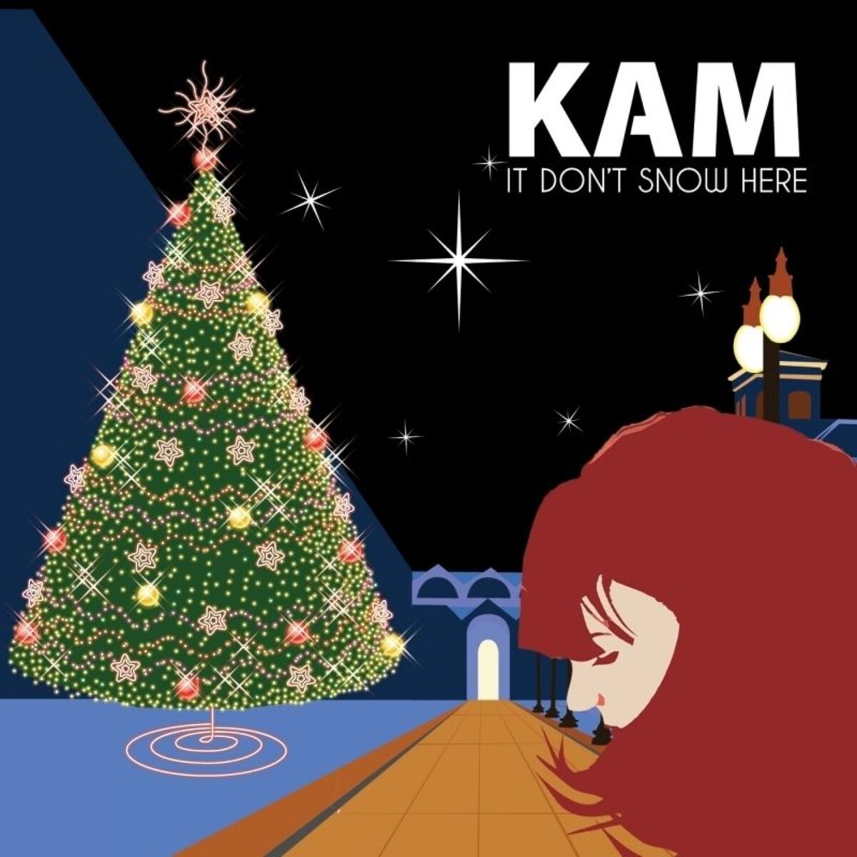 Album cover of It Dont Snow Here