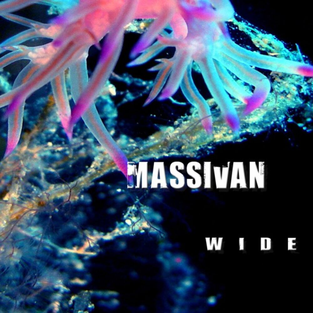 Picture of Wide (Special Digital Edition)