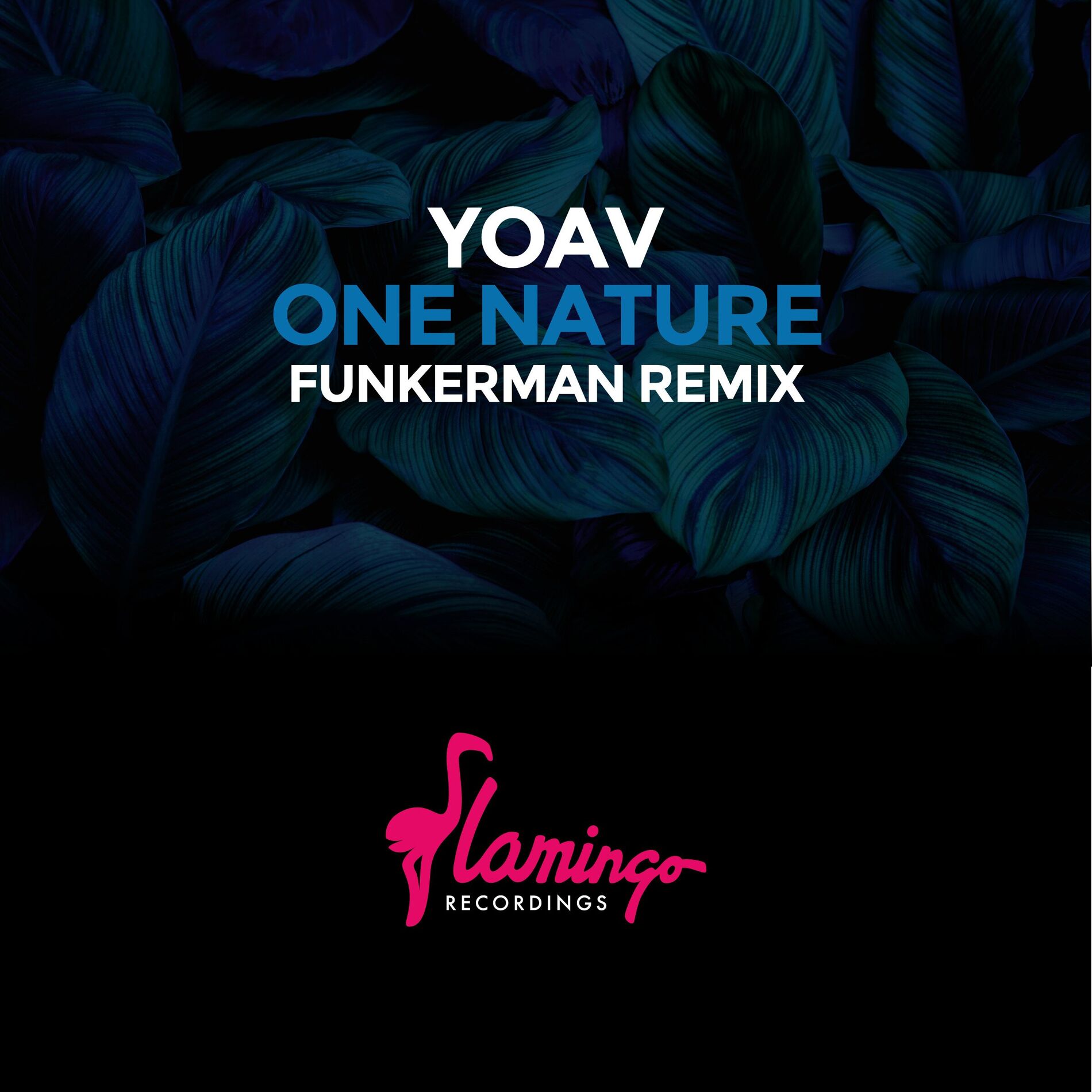 Album cover of One Nature (Funkerman Remix)