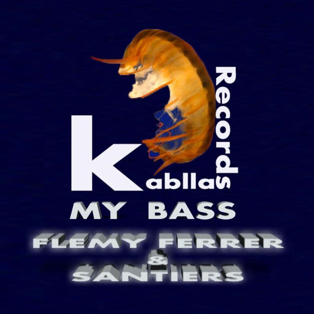Picture of My Bass