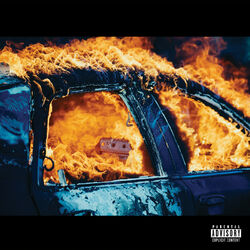 Cover of Trial By Fire