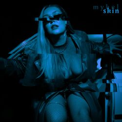 Cover of SKIN (REMIXES)