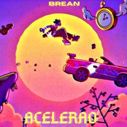 Cover of Acelerao