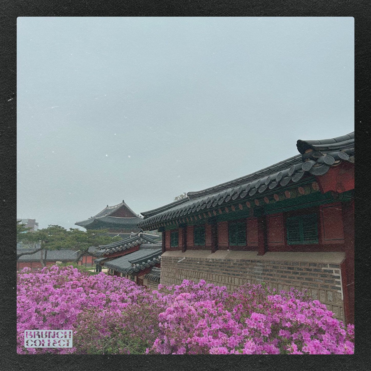 Album cover of Train to Daechun