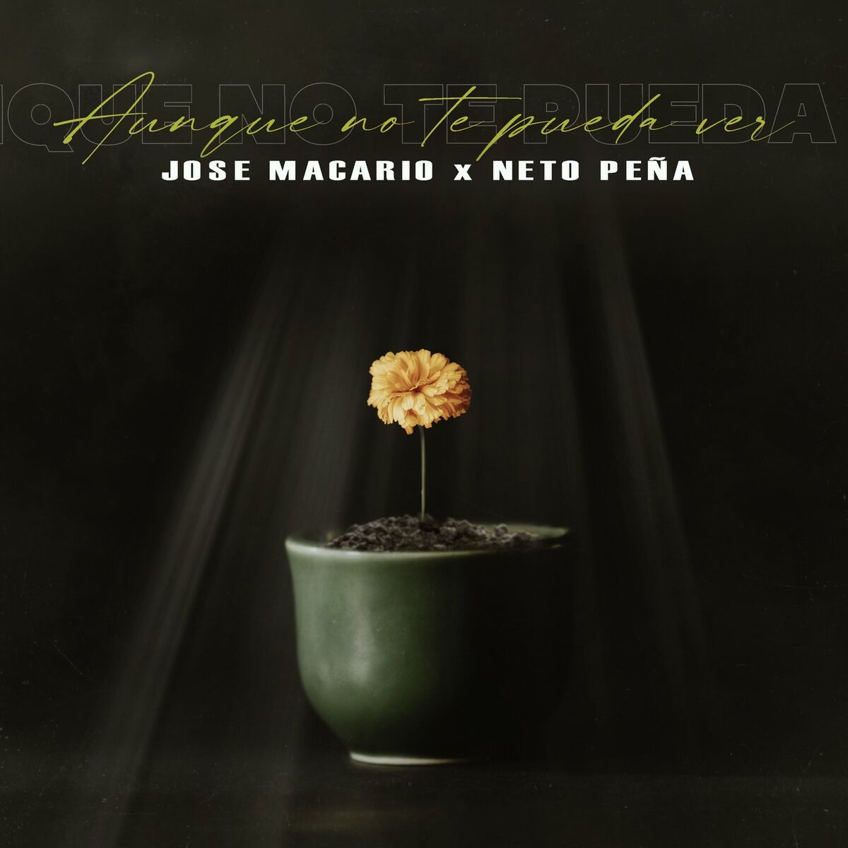 Album cover of Aunque No Te Pueda Ver