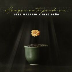 Cover of Aunque No Te Pueda Ver