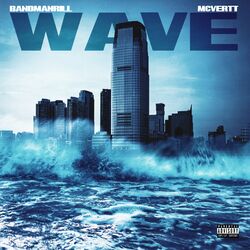Cover of Wave