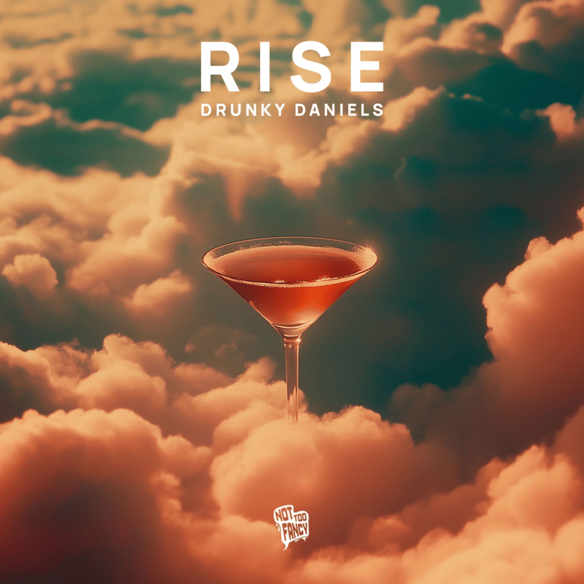 Album cover of Rise