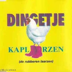 Cover of Kaplaarzen