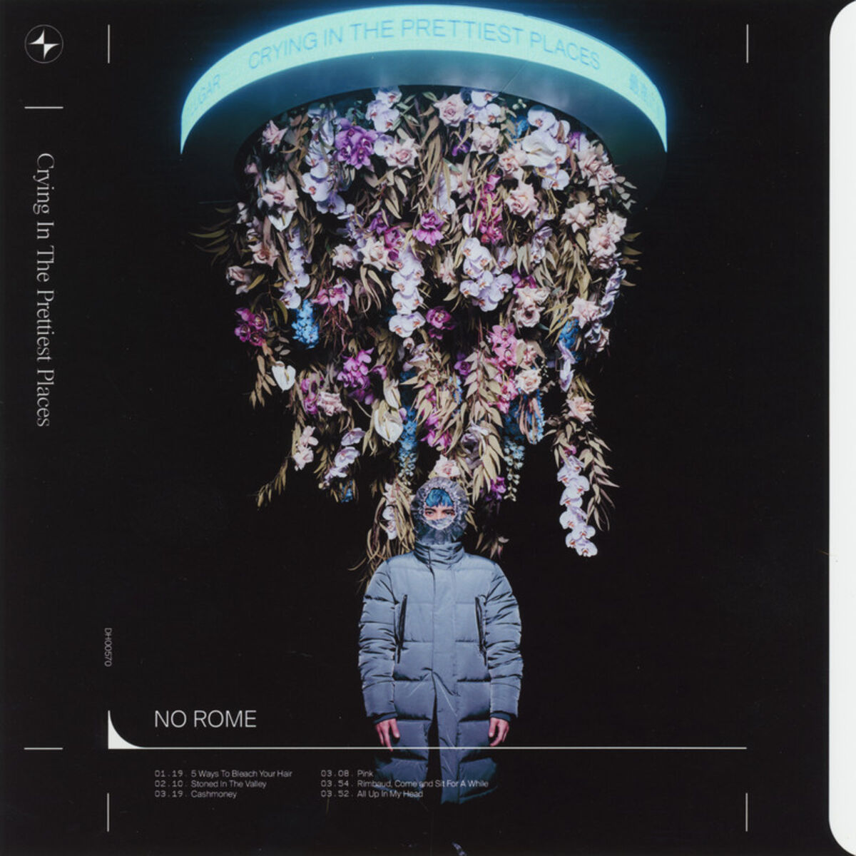 Album cover of Pink
