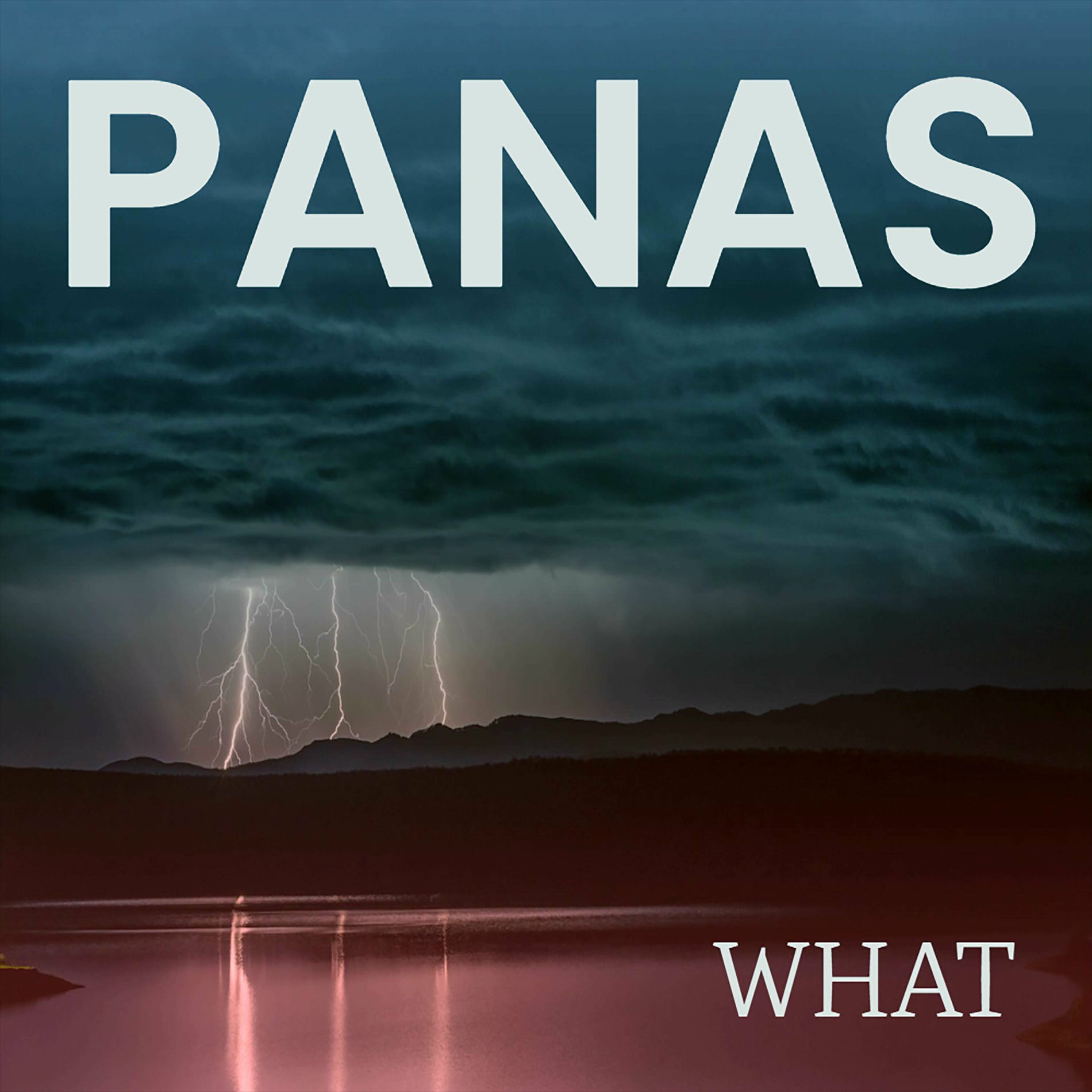 Album cover of What