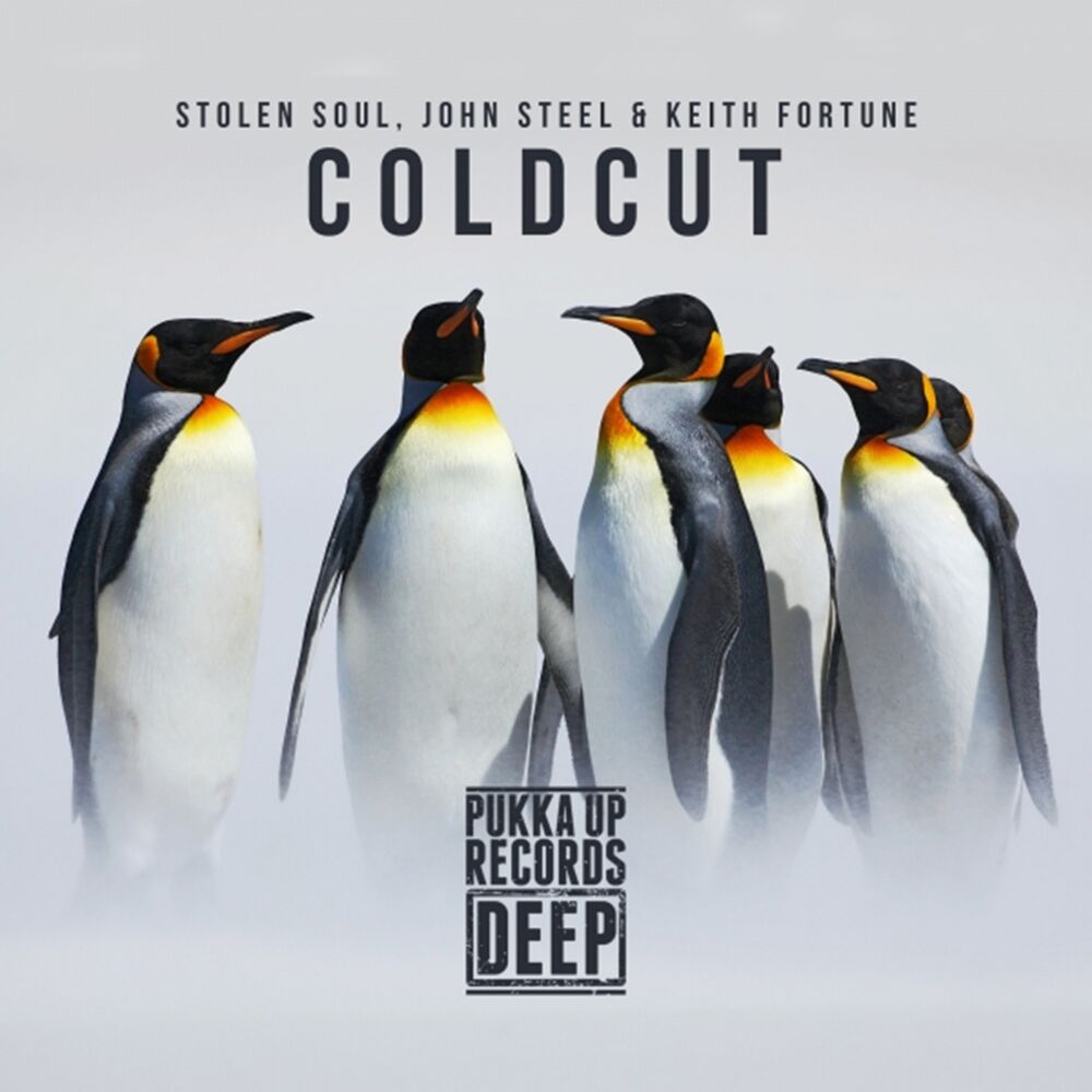 Picture of Coldcut