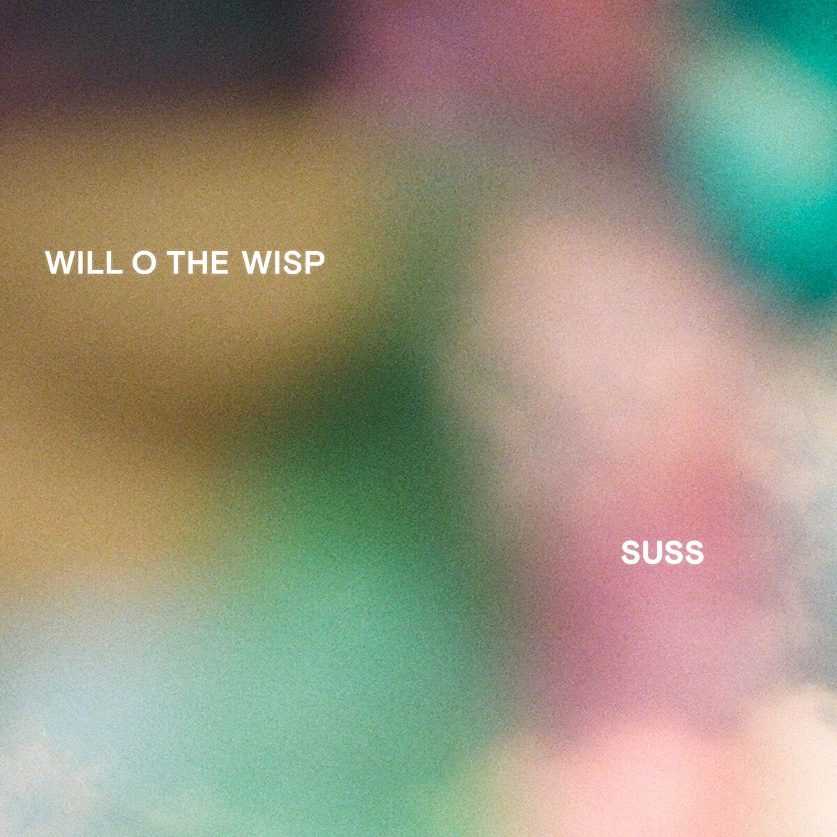 Album cover of Will O the Wisp