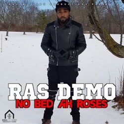 Cover of No Bed Ah Roses