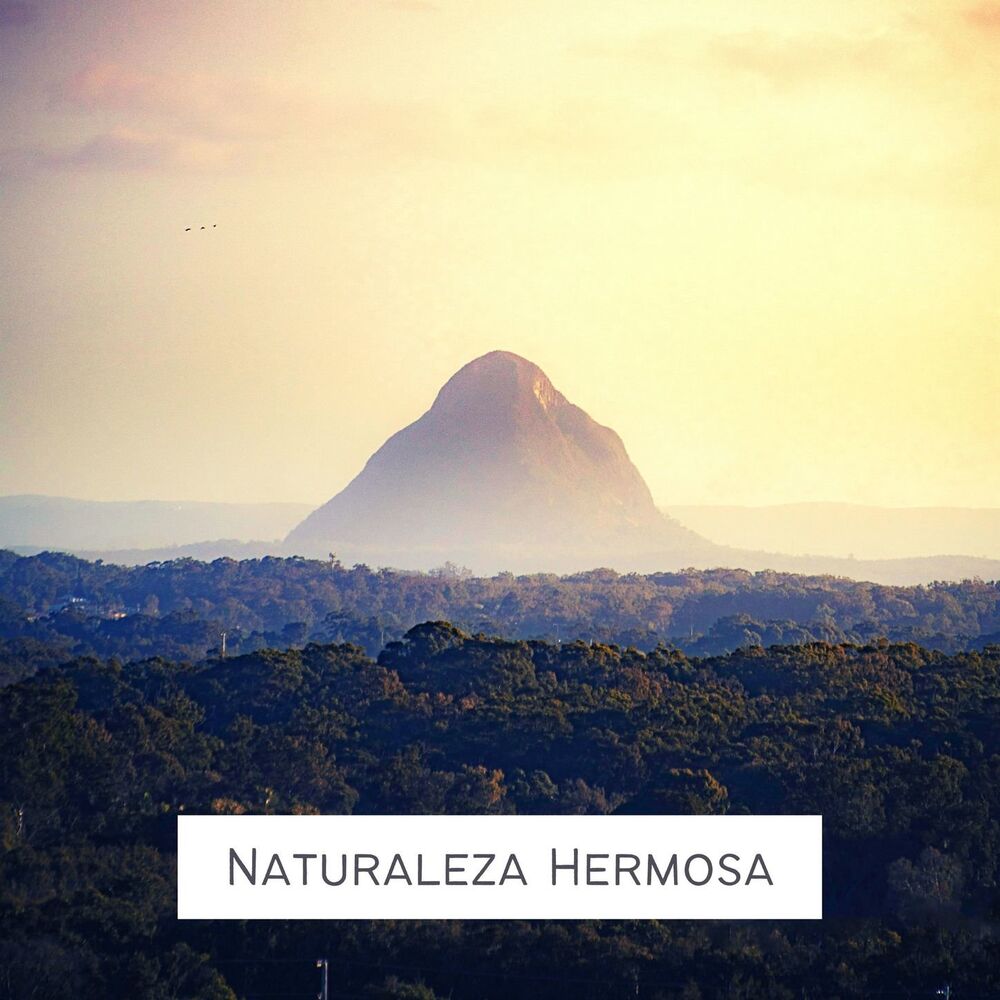 Picture of Naturaleza Hermosa: Sonidos Naturales 100% Reales, Alivio de la Migraña, Estrés y Ansiedad
