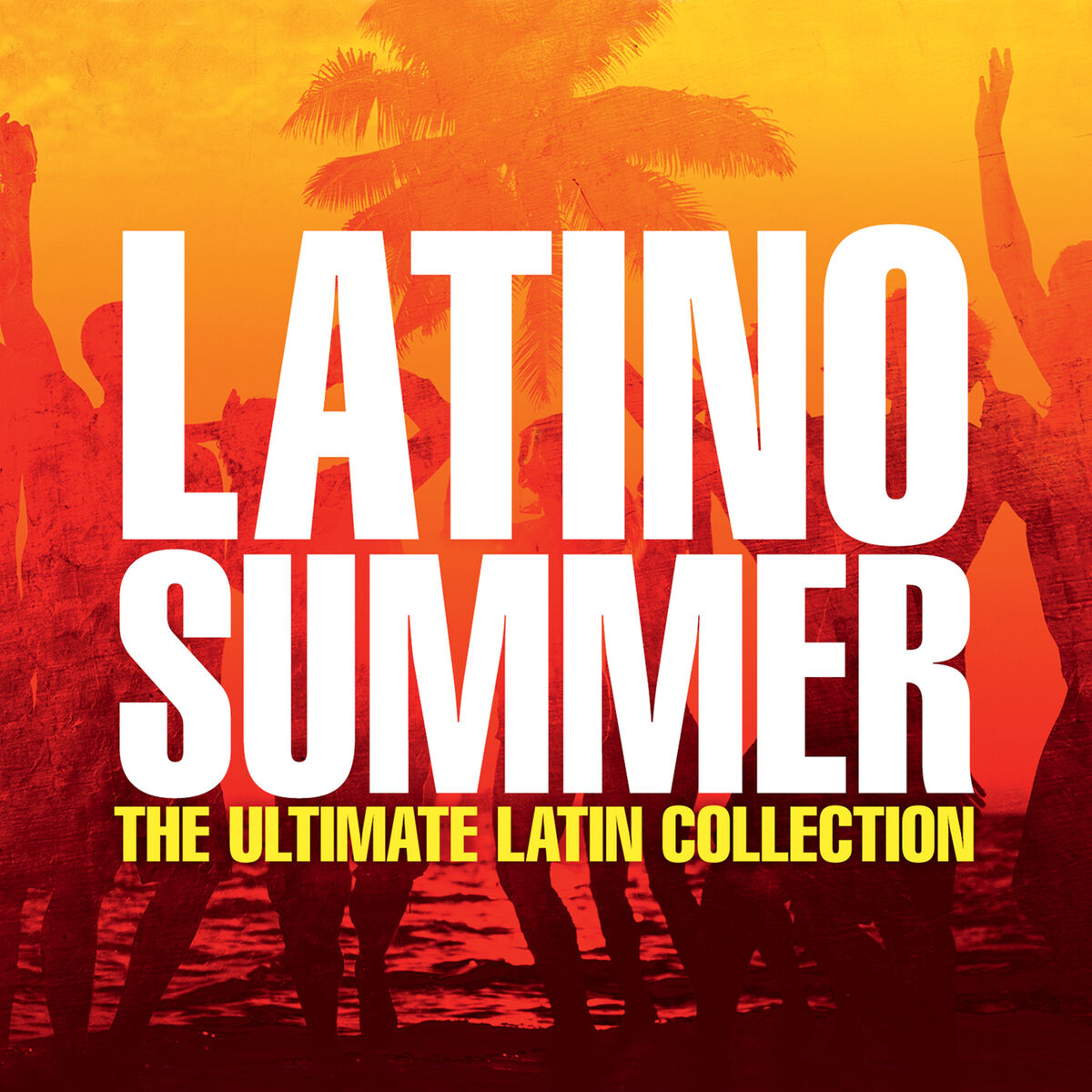 Album cover of Latino Summer