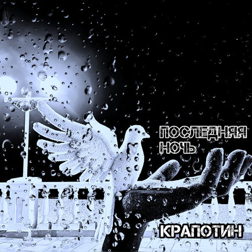 Последняя ночь