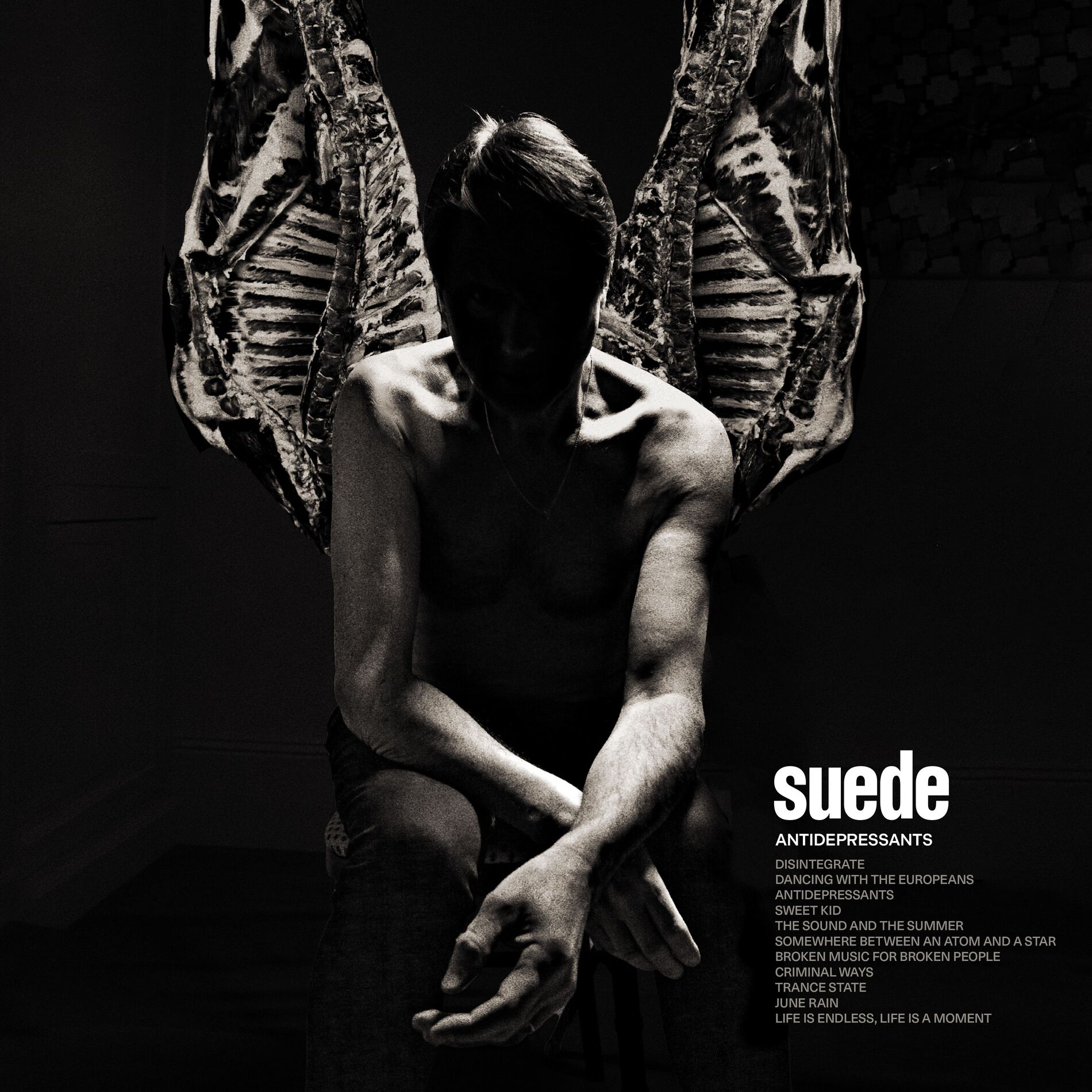Album cover of Disintegrate