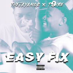 Cover of Easy Fix