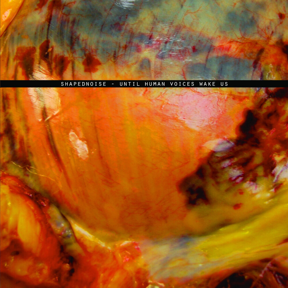 Picture of Until Human Voices Wake Us