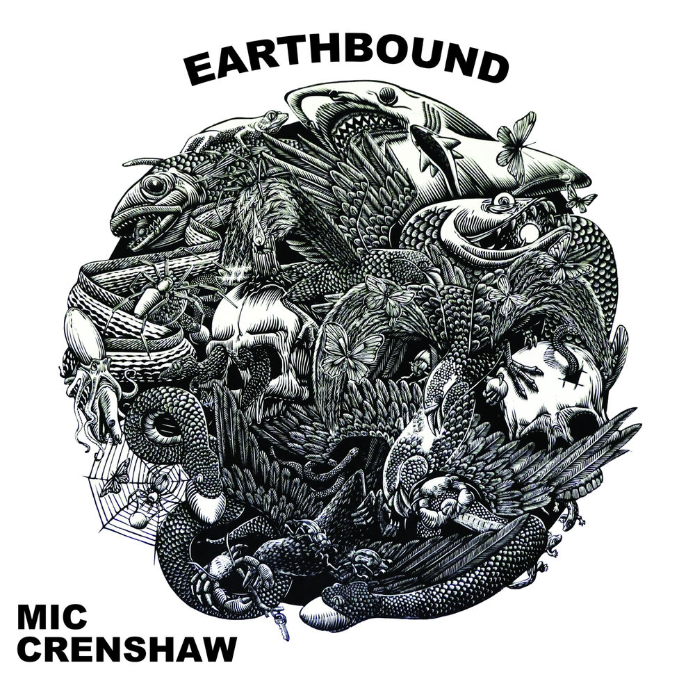 Picture of Earthbound
