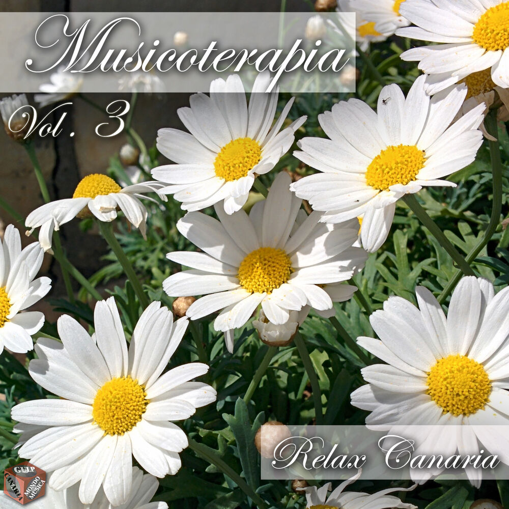 Picture of Musicoterapia, vol. 3