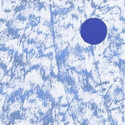 Cover of OPA