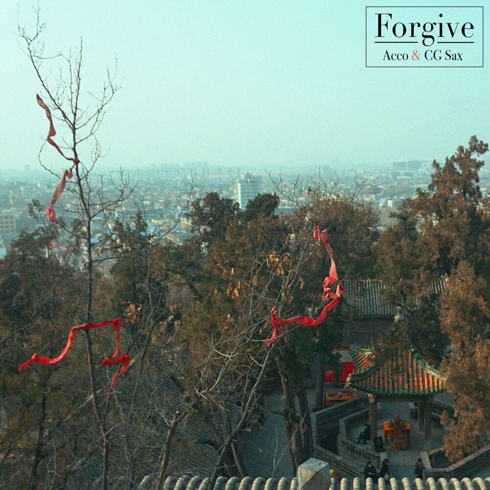 Picture of Forgive