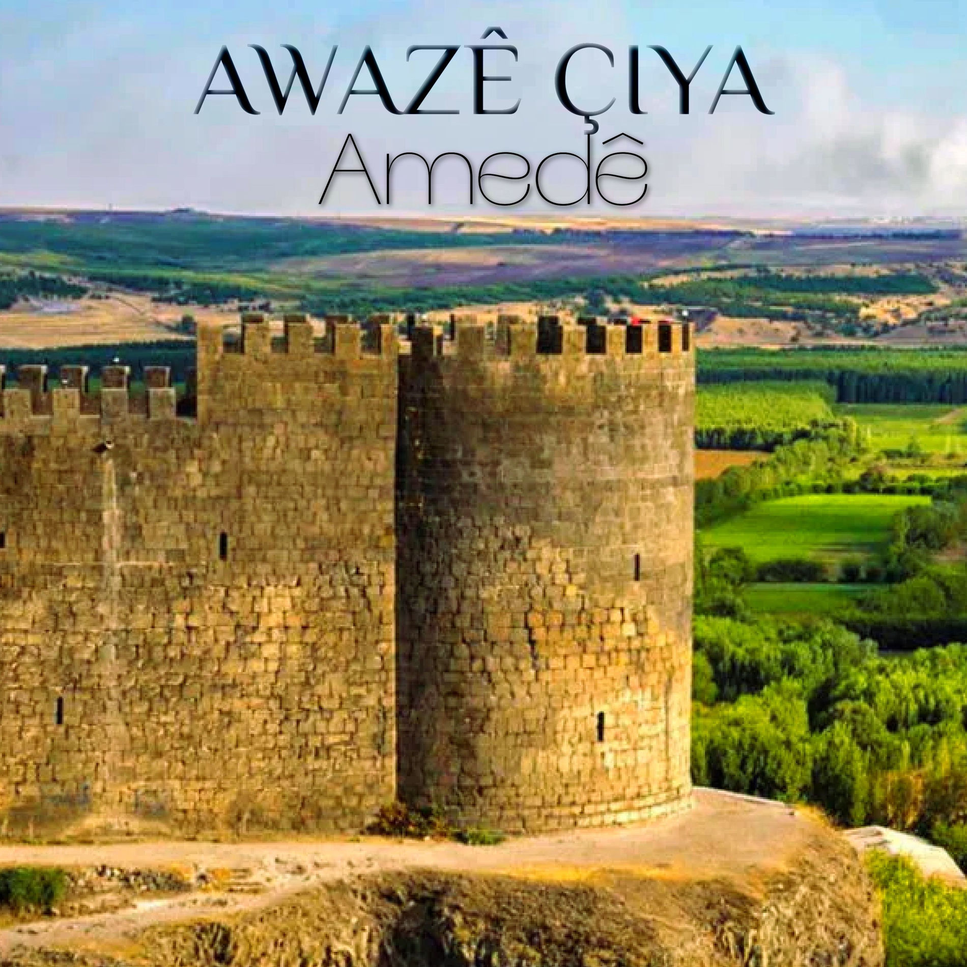 Album cover of Amedê
