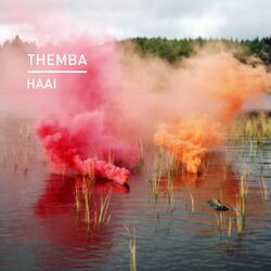 Cover of Haai