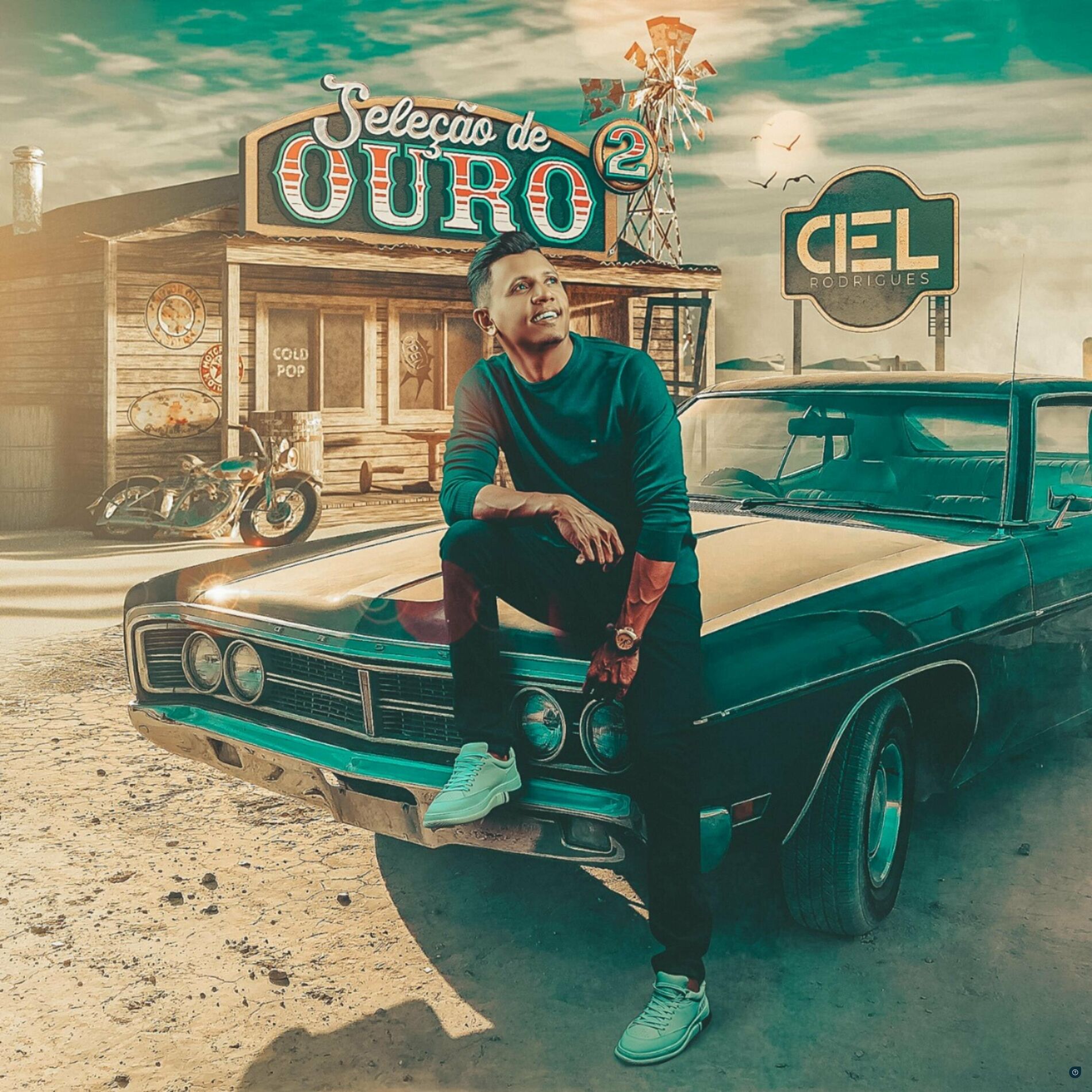 Album cover of Seleção de Ouro 2
