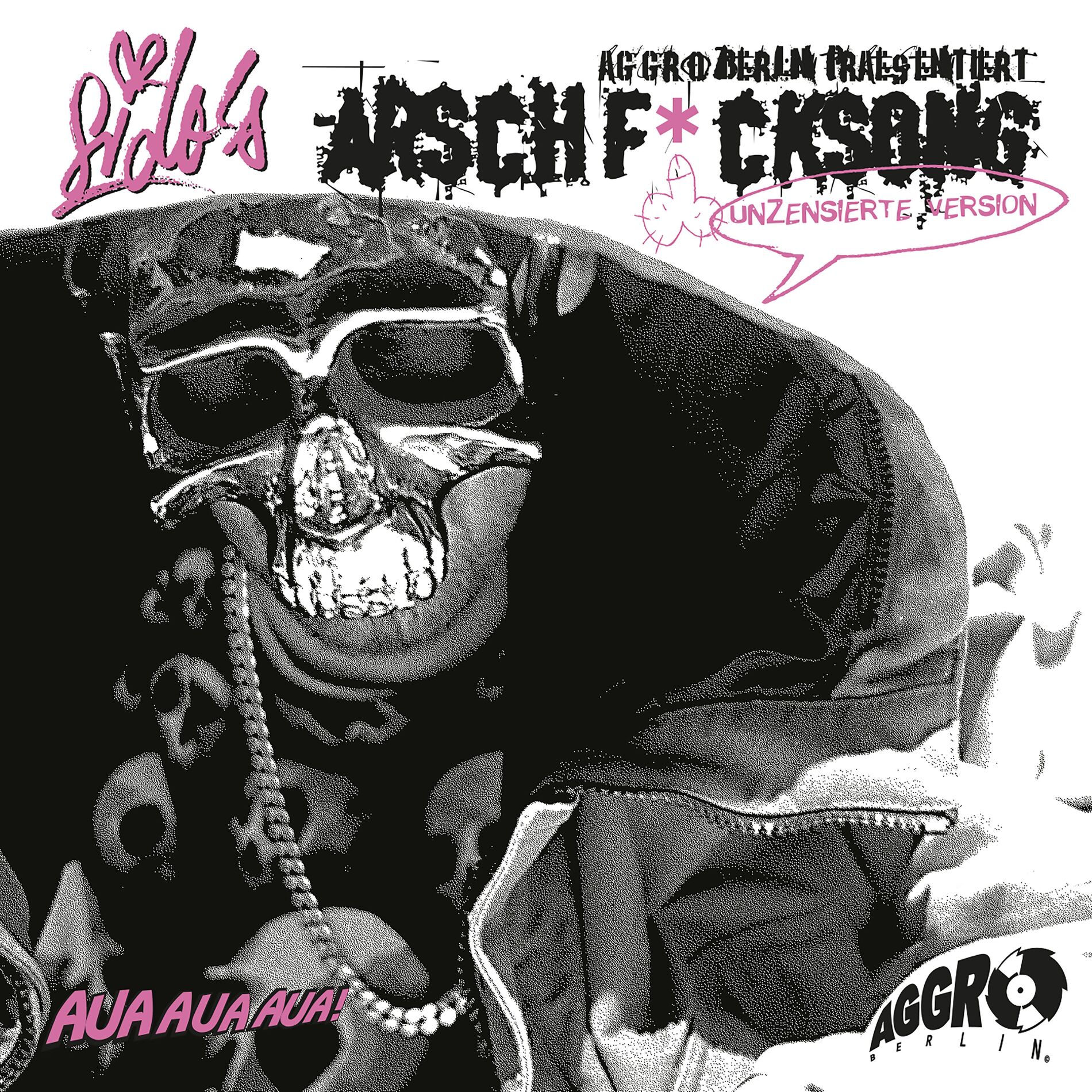 Album cover of Arschficksong