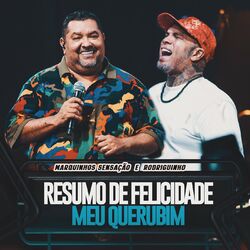 Cover of Resumo De Felicidade / Meu Querubim (Ao Vivo)
