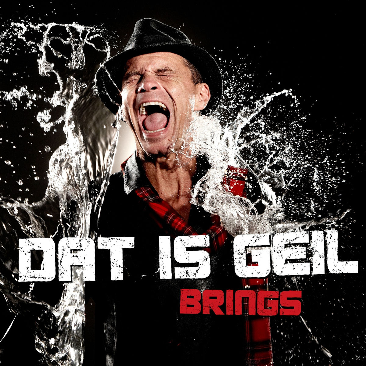 Album cover of Dat is geil