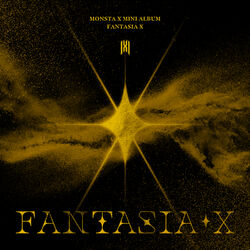 Cover of FANTASIA X