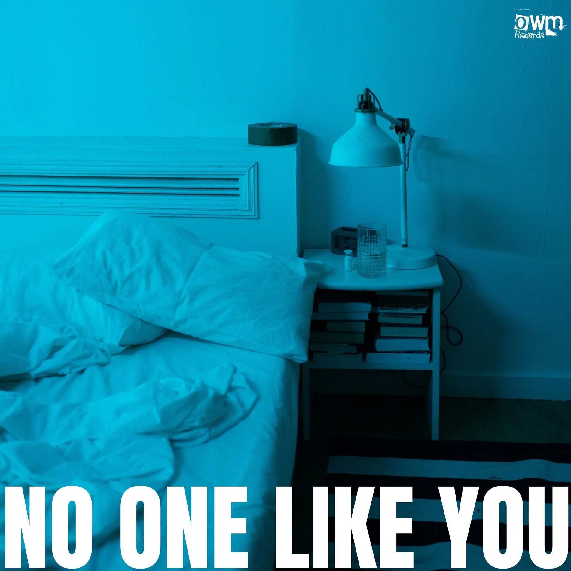 Album cover of No One Like You (feat. Adam H)