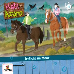 Cover of 019/Irrlicht im Moor