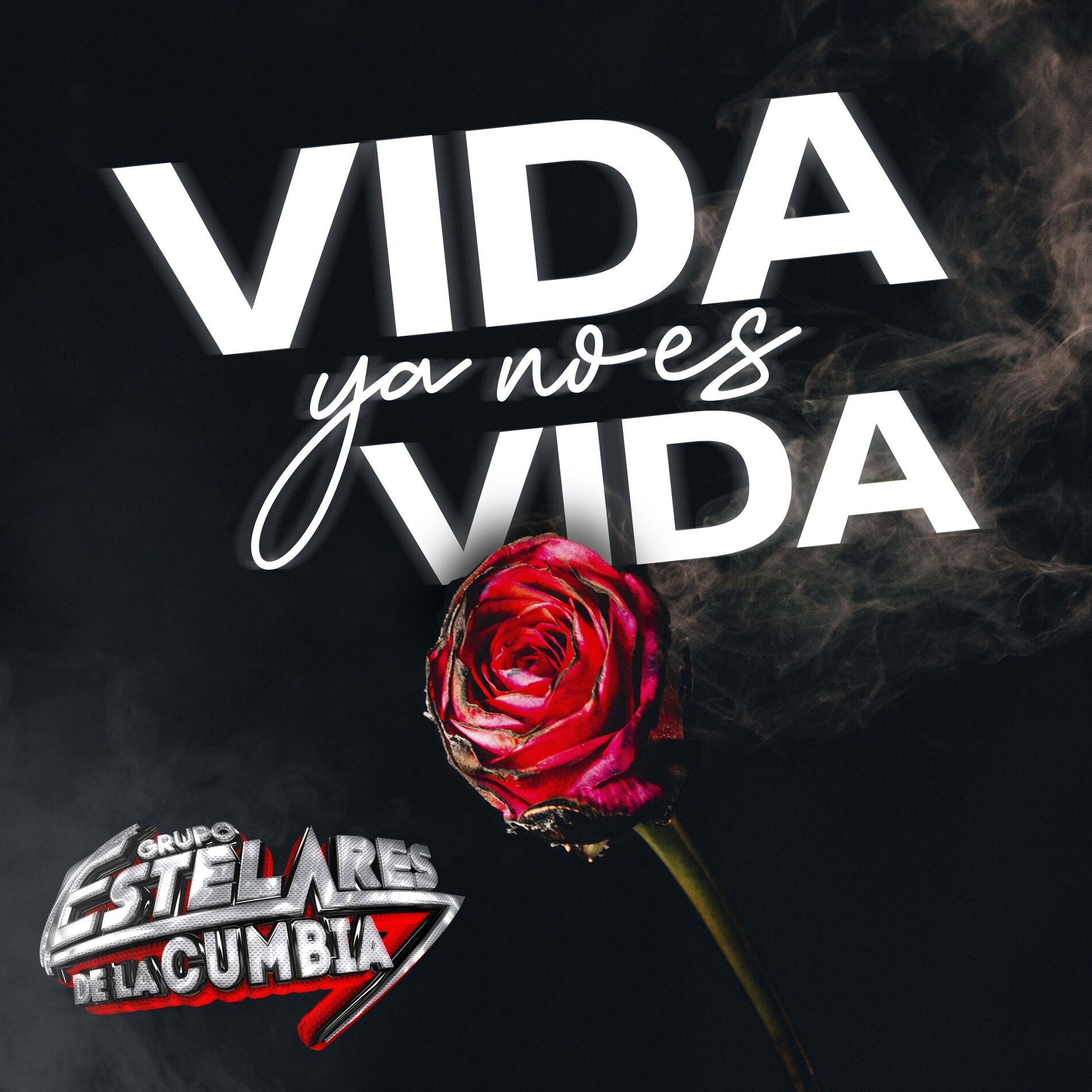 Album cover of Vida Ya No Es Vida