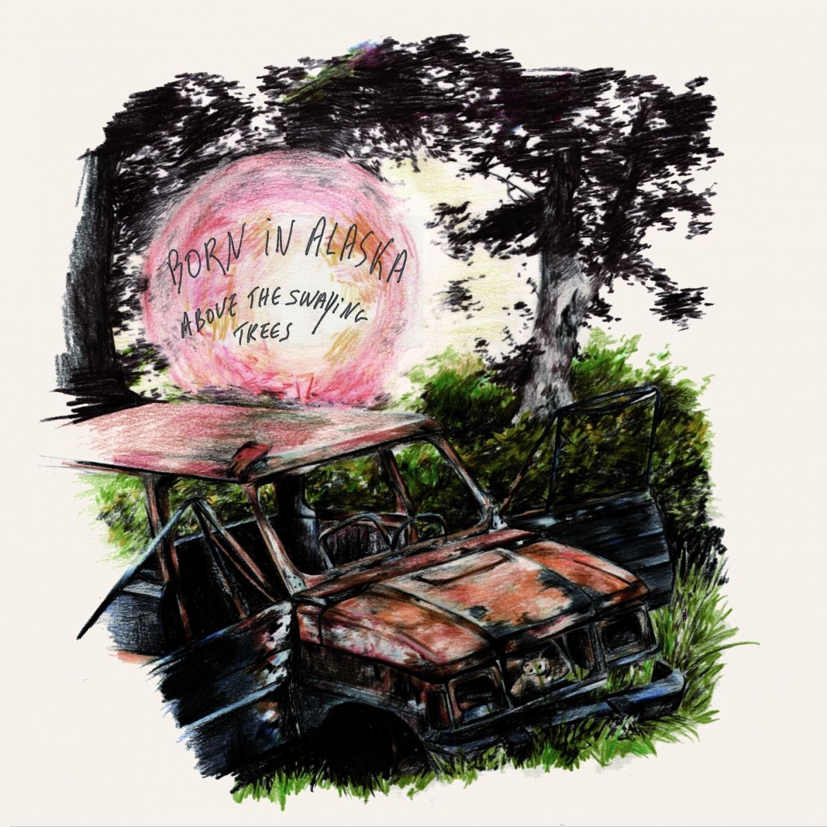 Album cover of Playing for the Sun