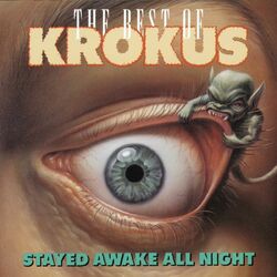 Cover of Stayed Awake All Night