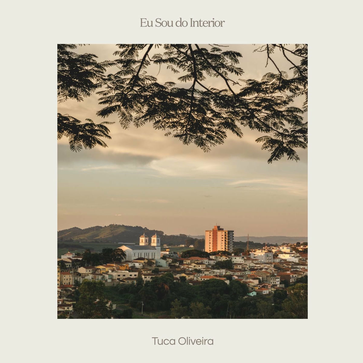 Album cover of Eu Sou do Interior