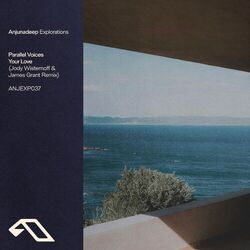 Your Love (Jody Wisternoff & James Grant Remix)